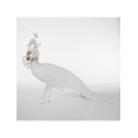 SELETTI Peacock Lamp - Pauw Lamp