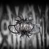SLAMP Medusa Pendant Lamp