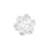 SLAMP La Belle Etoile Ceiling lamp-Wall Lamp