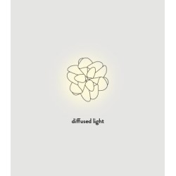 SLAMP Etoile Ceiling lamp / Wall Lamp