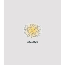 SLAMP Clizia Wall Lamp