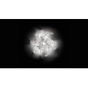 SLAMP Hanami Plafondlamp / Wandlamp