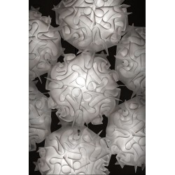 SLAMP Veli 7 Pendant Lamp