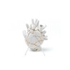 Buy SELETTI Vase online? Fast and safe delivery!