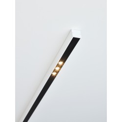 PSM Lighting Stella Line 2919.1400 Ceiling Lamp