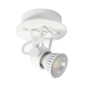 PSM Lighting Ringo 3242 Plafondlamp