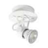 PSM Lighting Ringo 3242 Ceiling Lamp