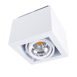PSM Lighting Luxor 1980.Ip20 Plafondlamp