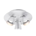 PSM Lighting Cupido 623.Ar70 Plafondlamp