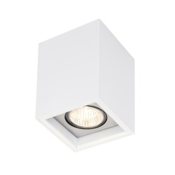 PSM Lighting Betaplus 1701.Es50 Plafondlamp