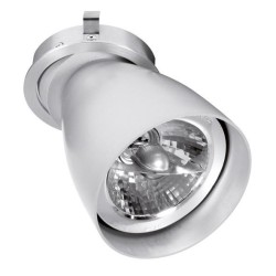 PSM Lighting Ø80 Convertible System Caspolka.Ar70Gu10 Inbouwspot