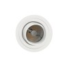 PSM Lighting Ø80 Convertible 111.10058 Recessed Spot