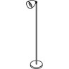 PSM Lighting Alfrood 1329 Floor Lamp