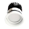 PSM Lighting Cameleon Xicato 1574.S2 Recessed Spot