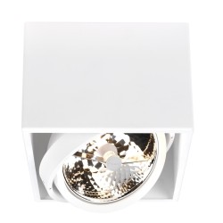PSM Lighting Spinner X 1891 Plafondlamp