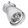 PSM Lighting Ø80 Convertible System Caspolka.Ar70 Recessed Spot