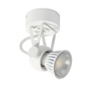 PSM Lighting Ringo 3240 Plafondlamp