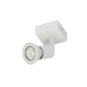 PSM Lighting Capucine 4510 Plafondlamp