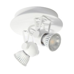 PSM Lighting Ringo 3243 Plafondlamp