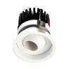 PSM Lighting Cameleon Xicato 1575.S2 Recessed Spot