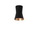PSM Lighting Clara 3402.Es50 Plafondlamp