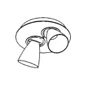 PSM Lighting Cupido 622.Ar70 Plafondlamp