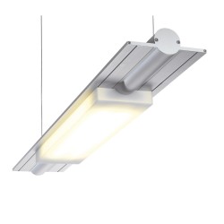 PSM Lighting Butterfly 2804Led Hanglamp