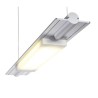 PSM Lighting Butterfly 2804Led Suspension Lamp