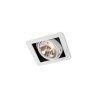 Trizo21 R07 in recessed spot