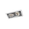 Trizo21 R70 in recessed spot