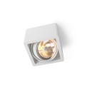 Trizo21 R110 up G53 LED Plafondlamp