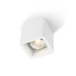 Trizo21 Code 1 230V Plafondlamp