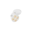 Trizo21 Mini-Pi 1 in Plafondlamp