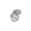 Trizo21 Mini-Pi 1C in Plafondlamp