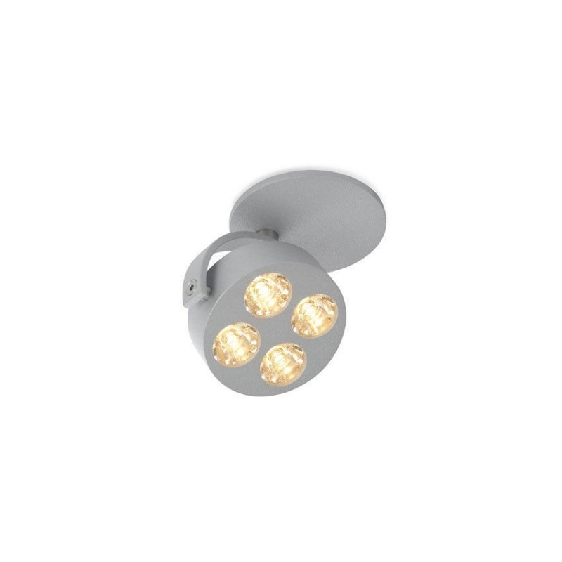 Trizo21 Mini-Pi 1C in Plafondlamp