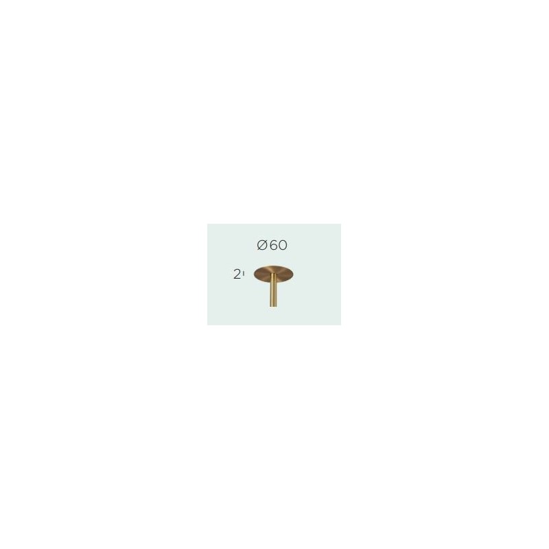 Trizo21 Cover C6 Austere-Chandelier RF