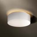 TAL HUBBLE 300 Surface Mounted plafondlamp