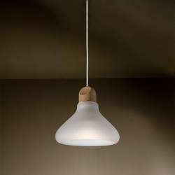 TAL KALEBAS LED M10 CI MAINS DIMMABLE suspension lamp
