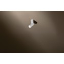 TAL MICROSCOOP plafondlamp