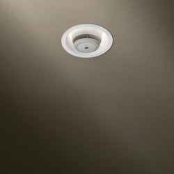 TAL ORBITAL LEAF SMOKE recessed spot