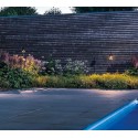 TAL ROSEAU LUX M tuinpaal