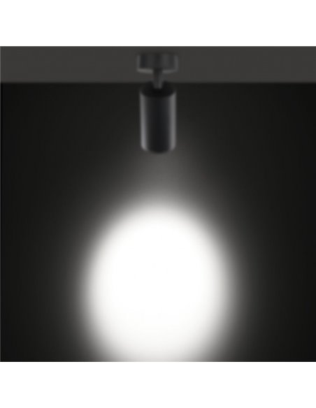Delta Light SPY FOCUS ON LP Plafondlamp