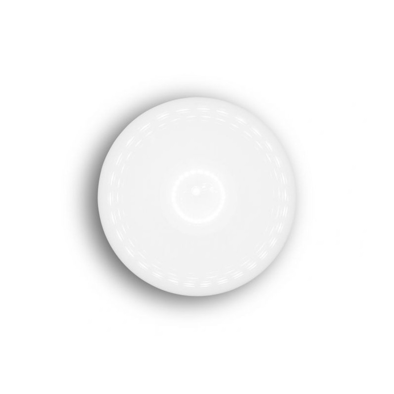 globe surface 25cm opaal 2