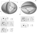 Integratech Disc plafondlamp nood 3h
