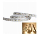 Integratech LED strip 120LED/m SMD2835 24V IP67 5m