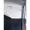 Nemo Tubes Large Ceiling light