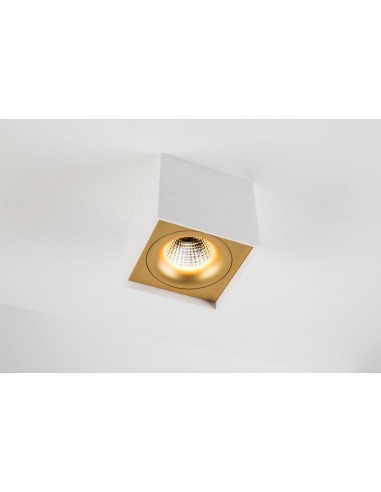 Modular Smart surface box 115 1x LED warm dim GI