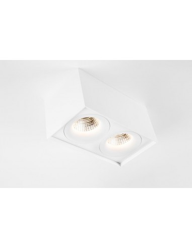 Modular Smart surface box 115 2x LED warm dim GI