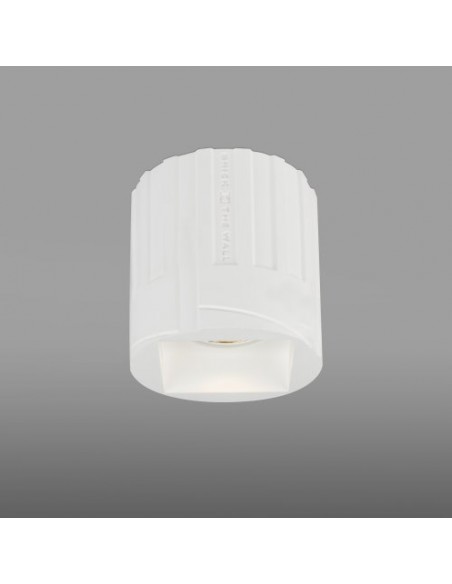 Brick In The Wall Indox R 50 LED Remote Driver Fix Ip54 Outdoor Inbouwspot