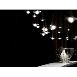 Catellani & Smith Jackie O Jc